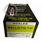 Preview: Nosler Balistic Tip 26120